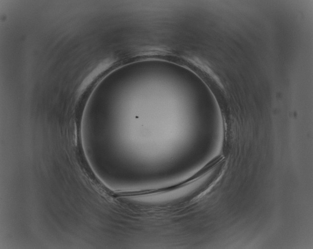 X0000074231317200608251103