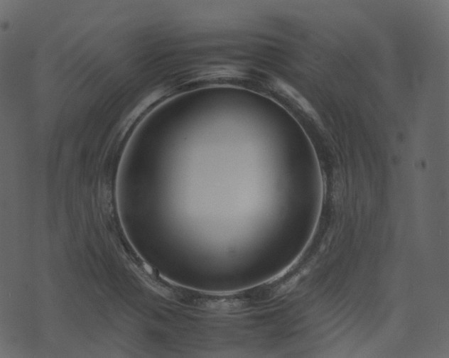 X0000074231321200608251103