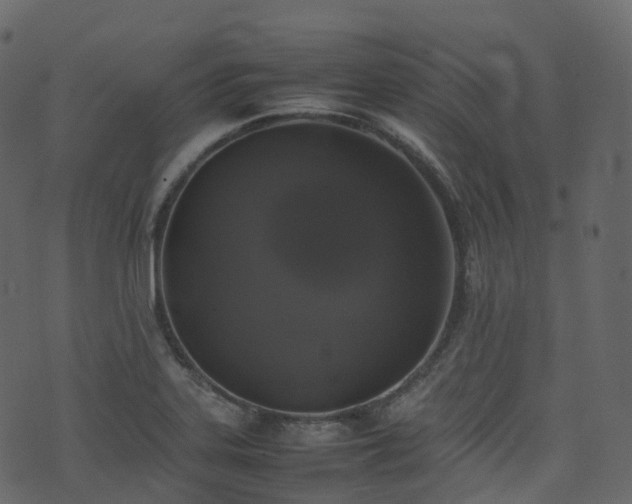 X0000074231323200608251103