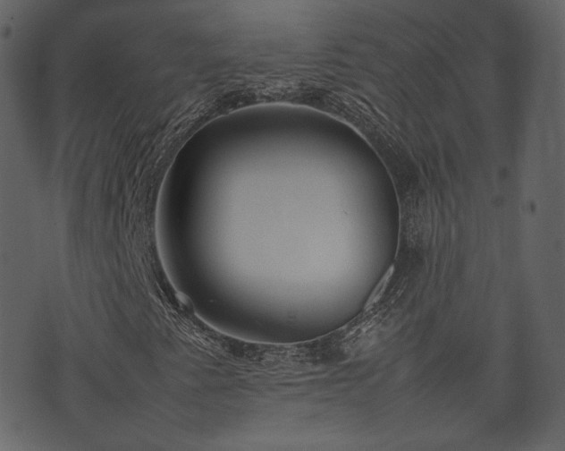 X0000074231345200608251103