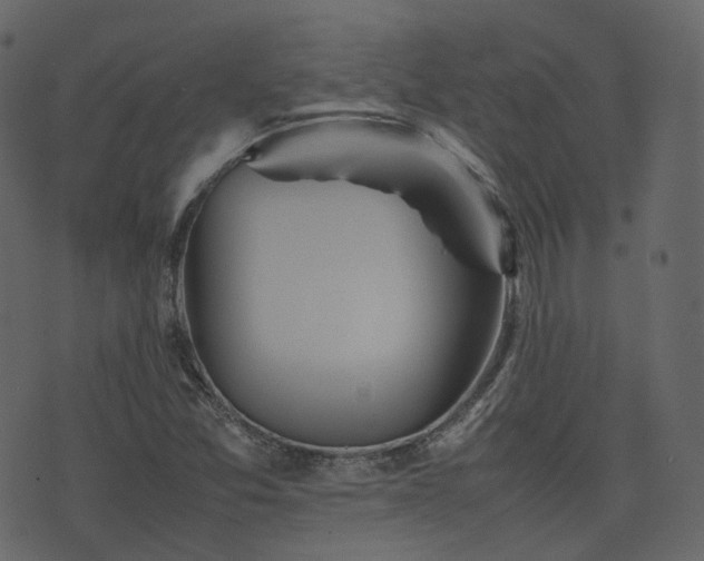 X0000074231357200608251103
