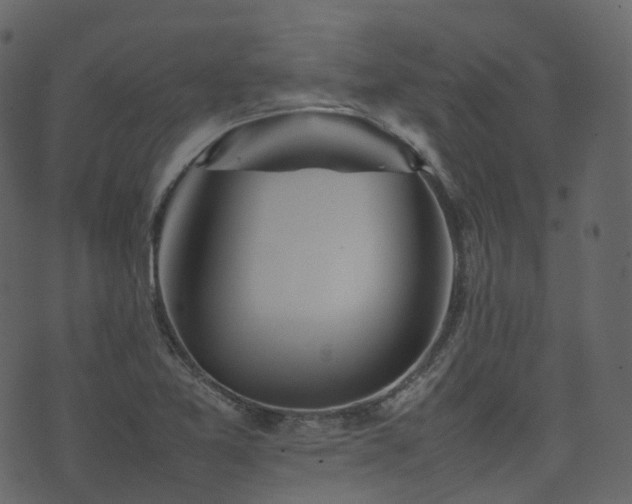 X0000074231365200608251103