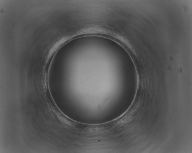 X0000074231366200608251102
