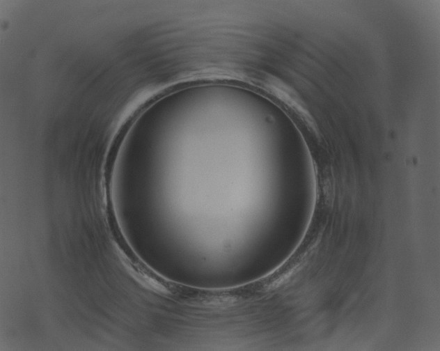 X0000074231372200608251102