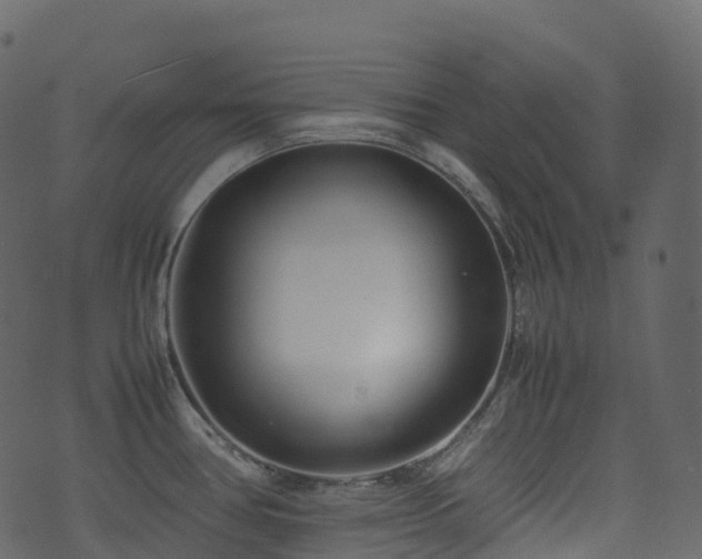 X0000074231386200608251102