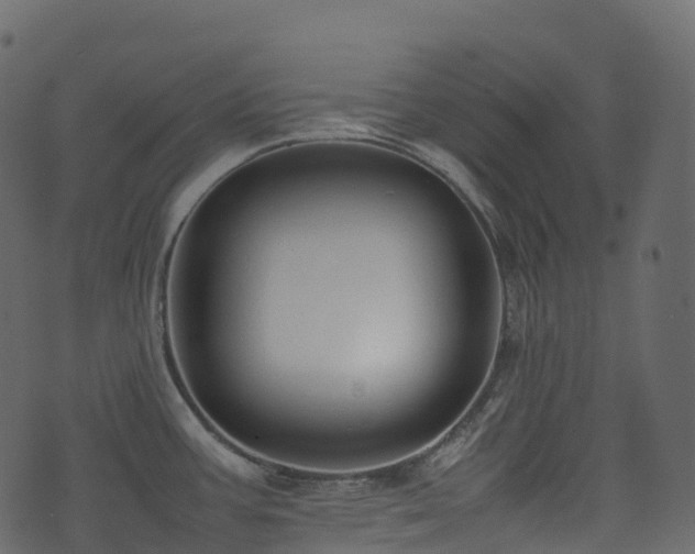 X0000074231387200608251102