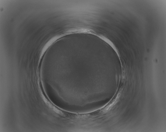 X0000074231389200608251102