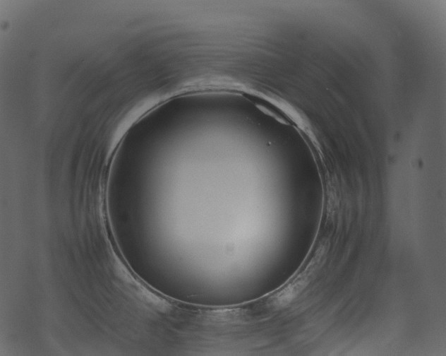 X0000074231390200608251102