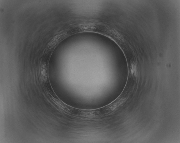X0000074231396200608251101