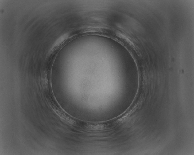 X0000074231403200608251101