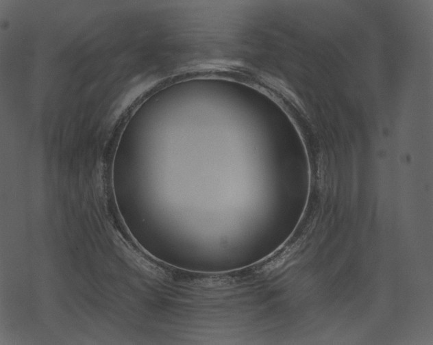 X0000074231404200608251101