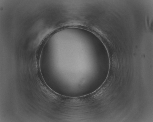 X0000074231408200608251102