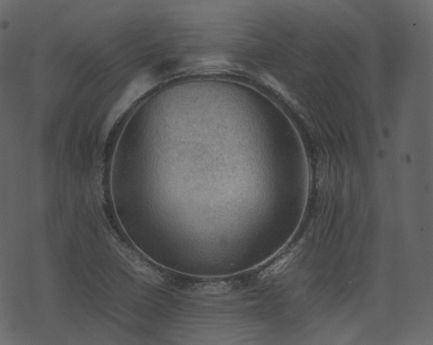 X0000074231410200608251102