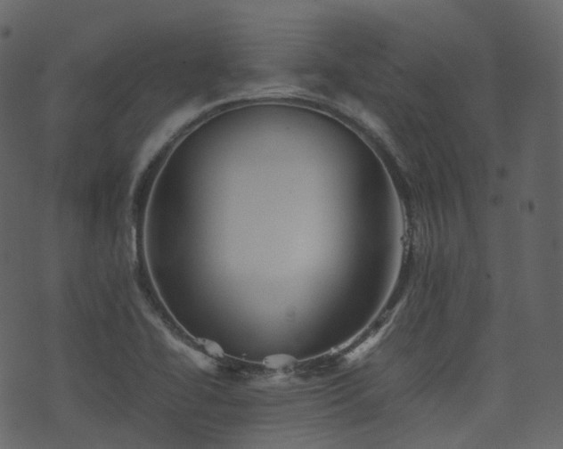 X0000074231414200608251102