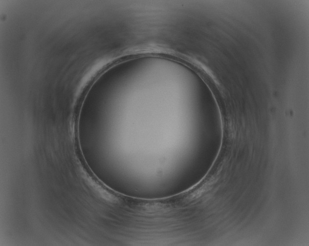 X0000074231416200608251102