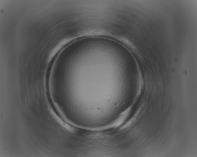 X0000074231422200608251102