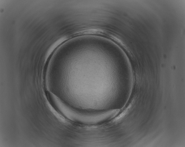X0000074231426200608251102