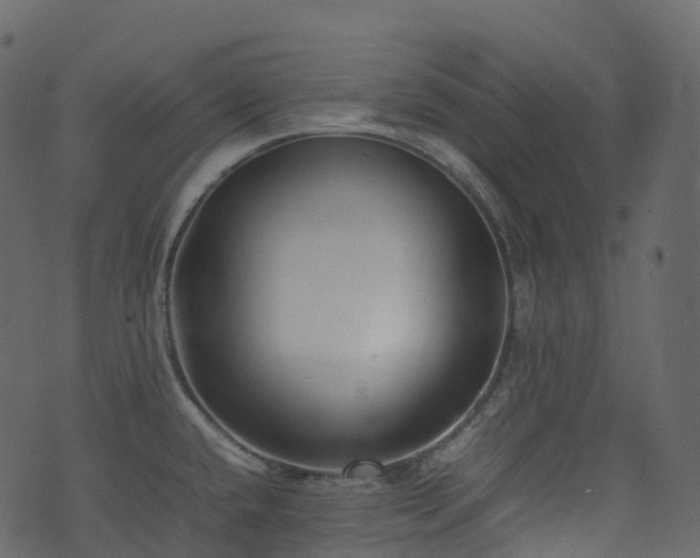 X0000074231432200608251102