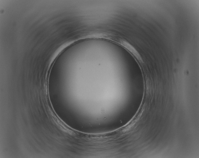 X0000074231436200608251102