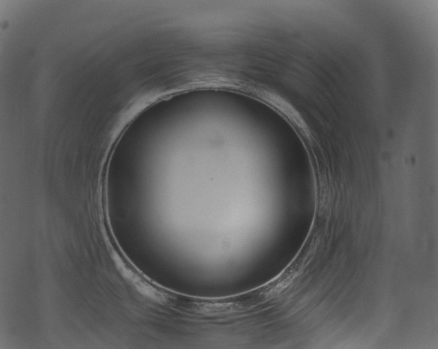 X0000074231439200608251102