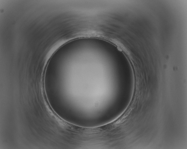 X0000074231440200608251102