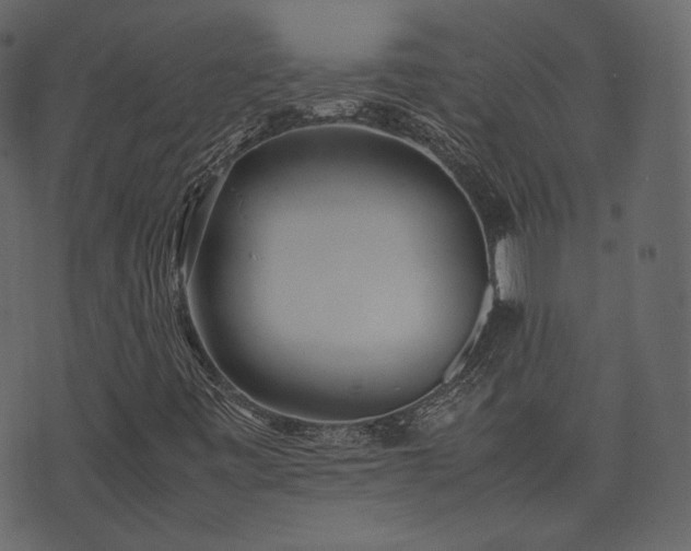 X0000074231443200608251101