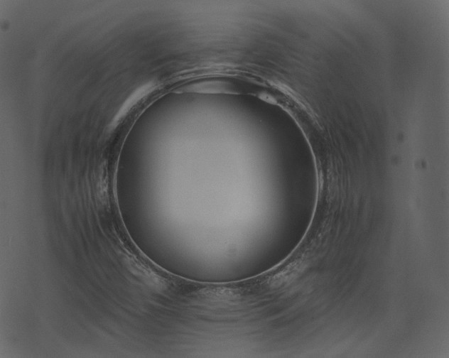 X0000074231450200608251101