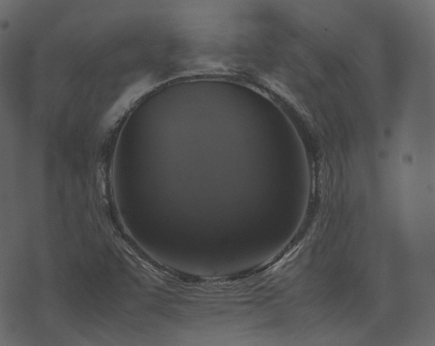 X0000074231455200608251101
