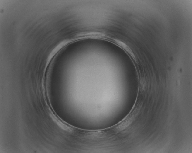 X0000074231482200608251101