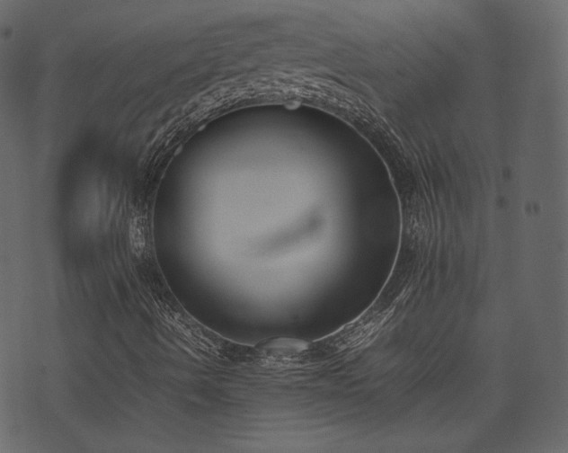 X0000074231490200608251100