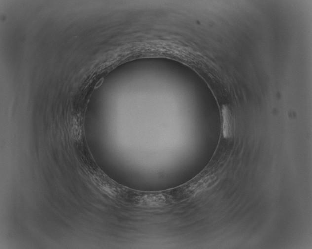 X0000074231491200608251100