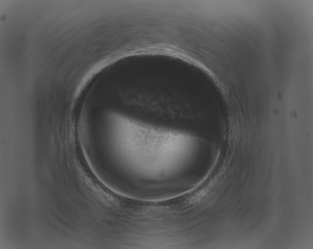 X0000074231506200608251100