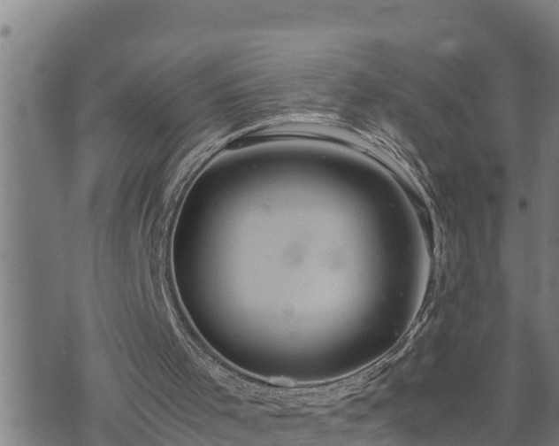 X0000074230001200609011253