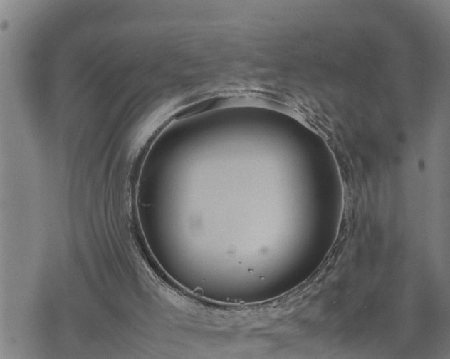 X0000074230005200609011253