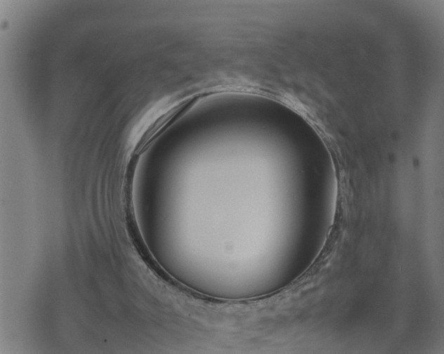 X0000074230007200609011253