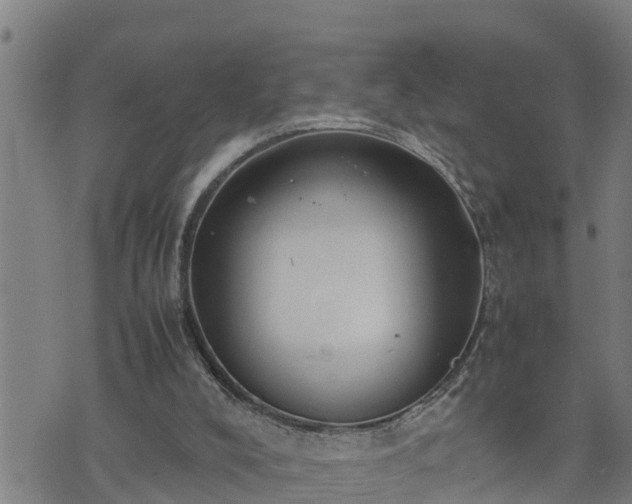 X0000074230008200609011253