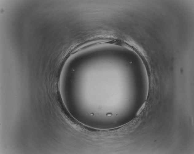 X0000074230009200609011253