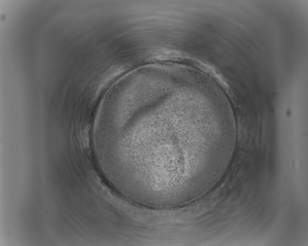 X0000074230010200609011253