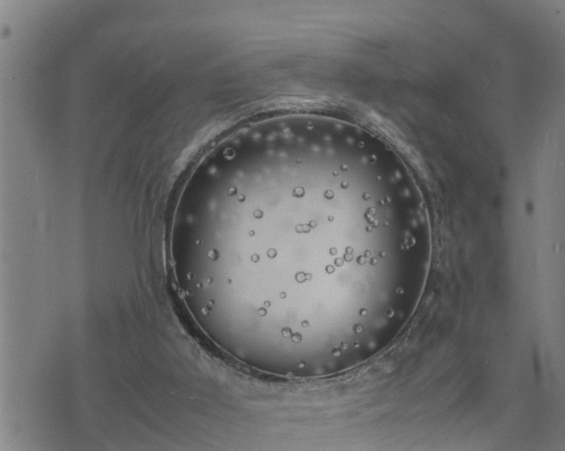 X0000074230011200609011253