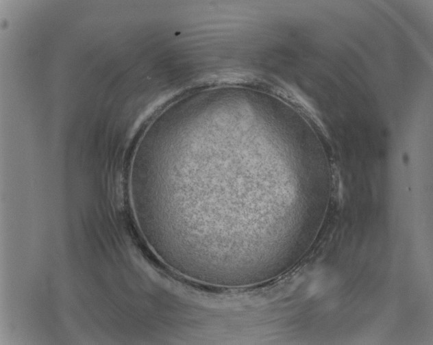 X0000074230012200609011253