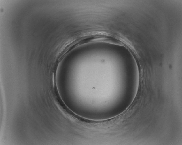 X0000074230013200609011253