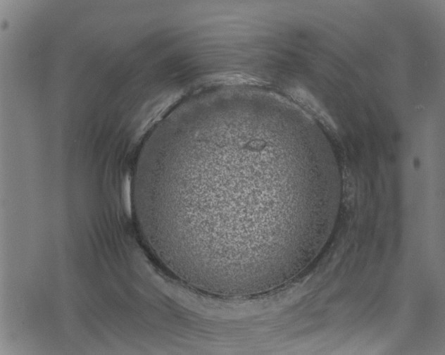 X0000074230014200609011253