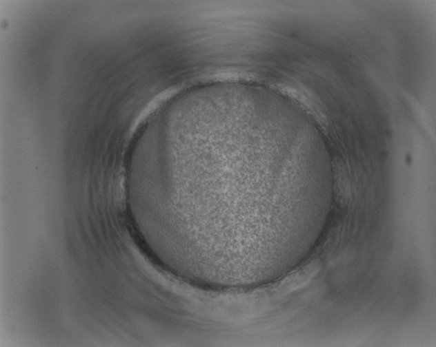 X0000074230016200609011253