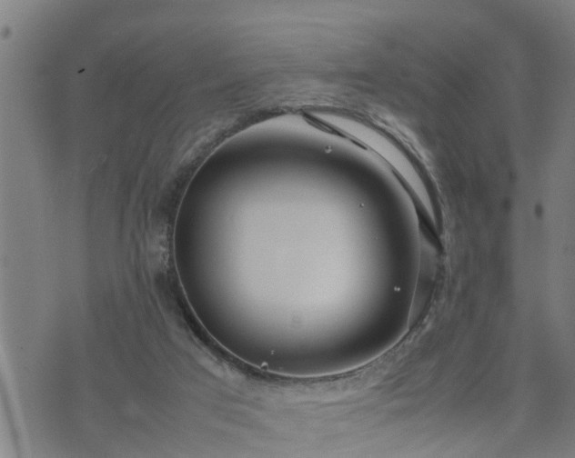 X0000074230017200609011253