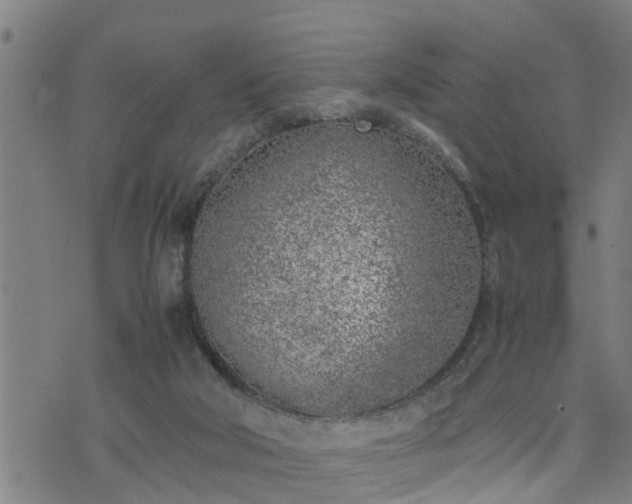 X0000074230018200609011253