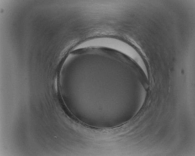 X0000074230019200609011253