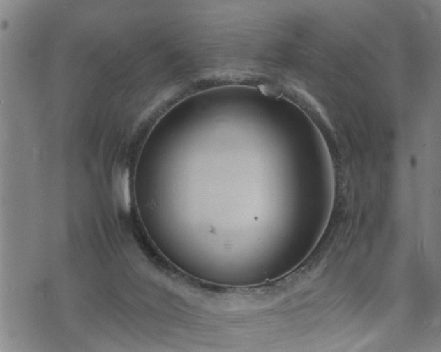 X0000074230020200609011253