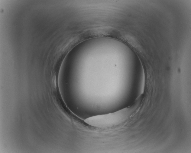 X0000074230021200609011253