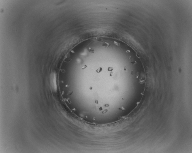 X0000074230022200609011253