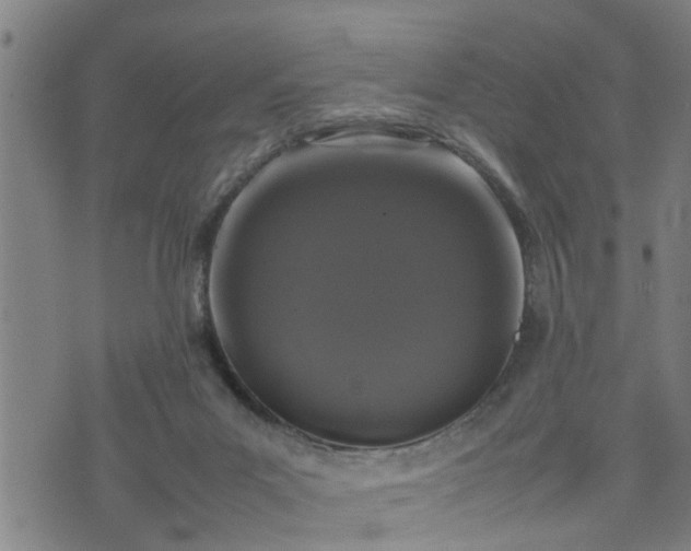 X0000074230023200609011253